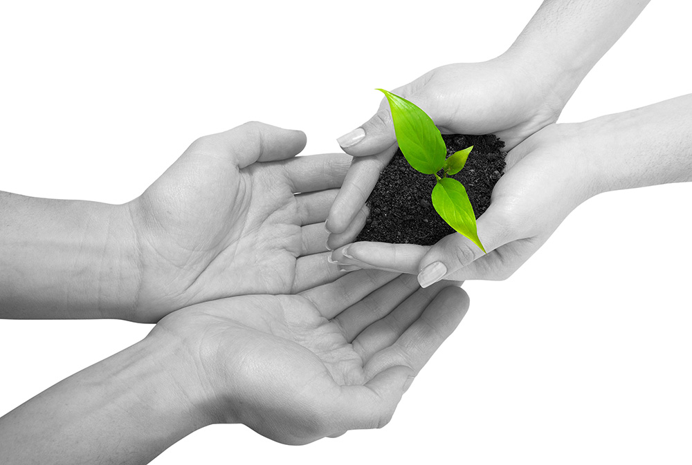 发卡网自动的如何攻击网站